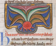 f.20r