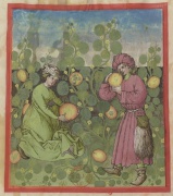 f. 19r